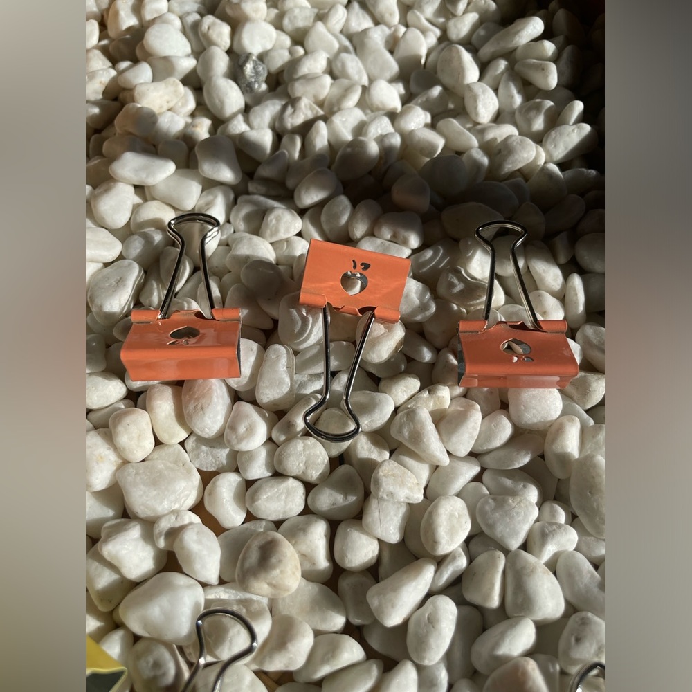 Paper Clips - Picture 12 of 12